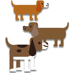 Les chiens sont bruns