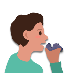 Le fils de Paul mange des bleuets (I)