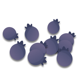 Il y a pleins de bleuets